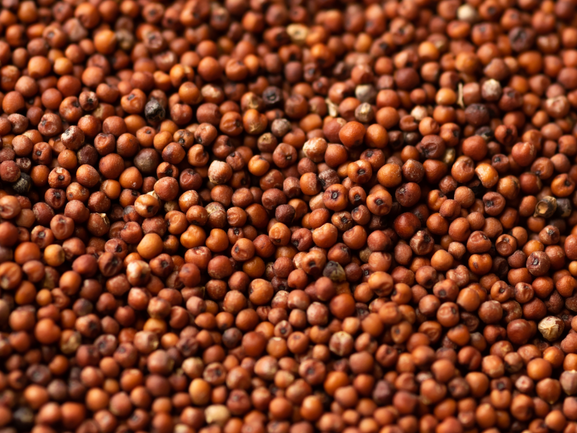 Kodo Millet Exporter from India