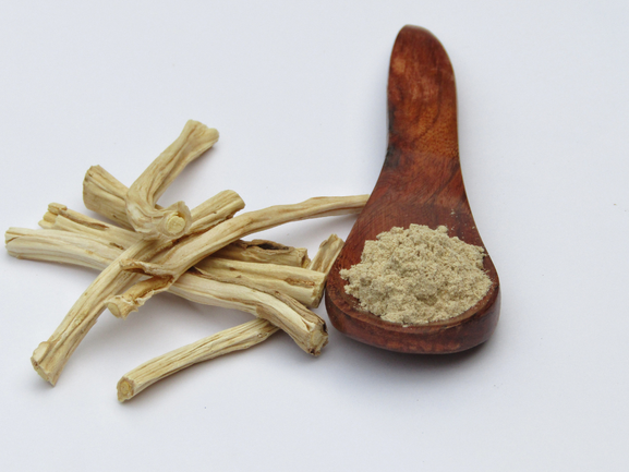 Shatavari Powder Exporter from India